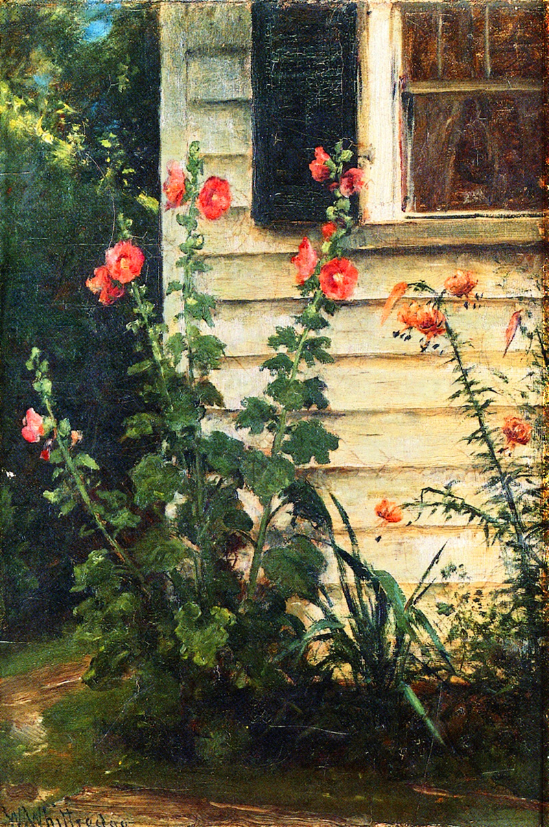 hollyhocks and daylilies